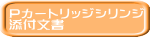 P�J�[�g���b�W�V�����W �Y�t���� 